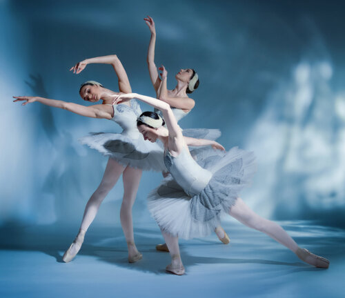 Swan Lake