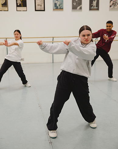 Royal Winnipeg Ballet Dance Ensembles Image
